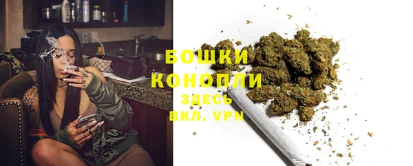 тгк Медногорск