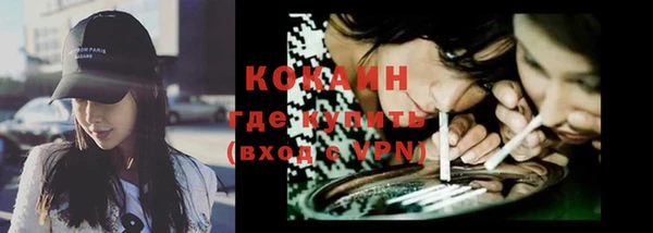 ПСИЛОЦИБИНОВЫЕ ГРИБЫ Горняк