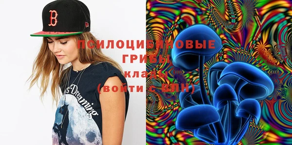тгк Медногорск