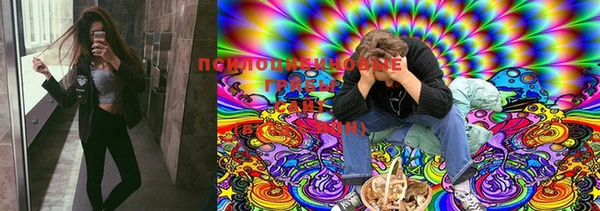 ПСИЛОЦИБИНОВЫЕ ГРИБЫ Горняк