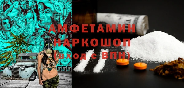 молекула духа Медвежьегорск